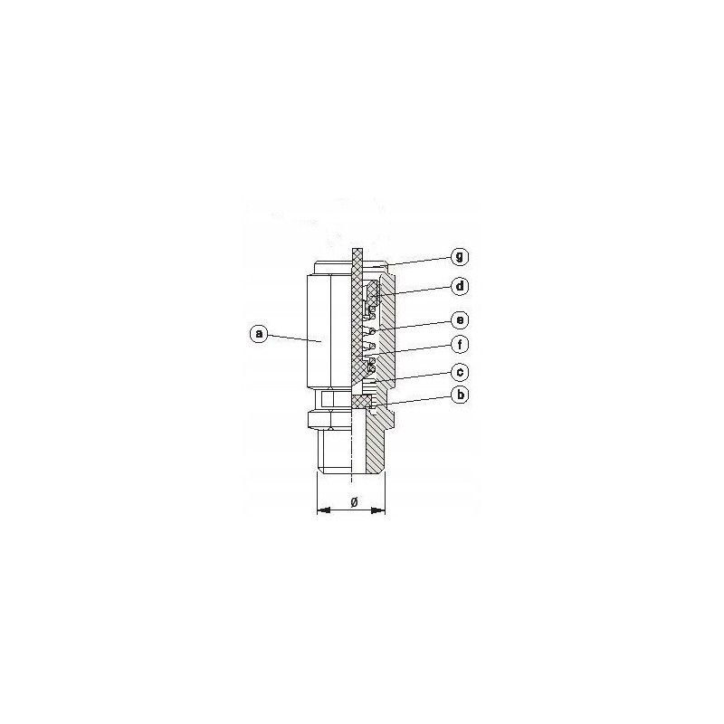 Zawór bezpieczeństwa PADOVAN 1/4" 8.5 BAR